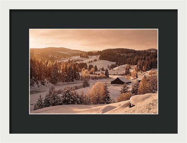 Winter Wonderland Blanketed In Snow