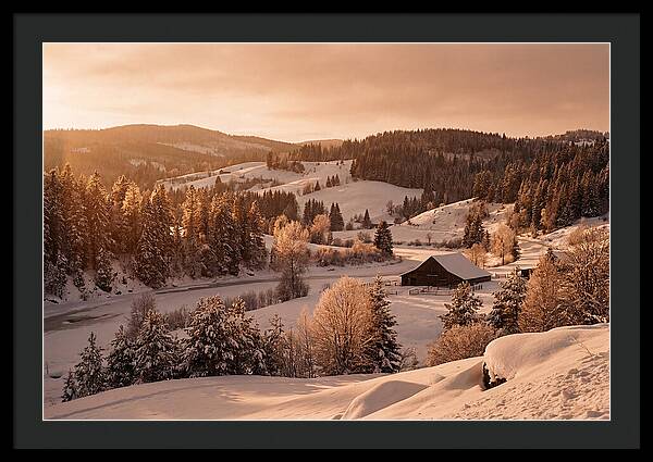 Winter Wonderland Blanketed In Snow
