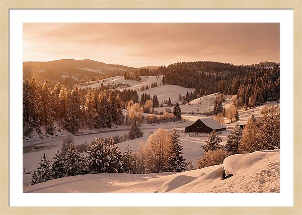 Winter Wonderland Blanketed In Snow