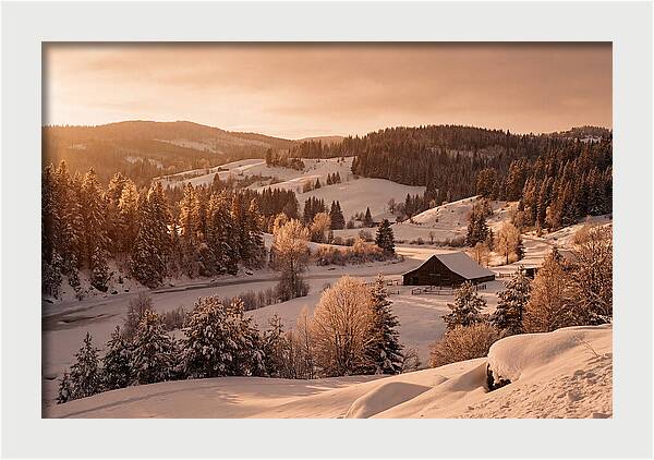 Winter Wonderland Blanketed In Snow