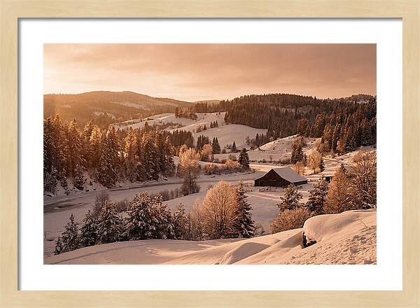 Winter Wonderland Blanketed In Snow