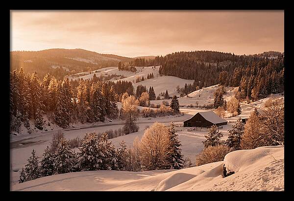 Winter Wonderland Blanketed In Snow