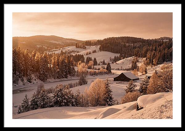 Winter Wonderland Blanketed In Snow