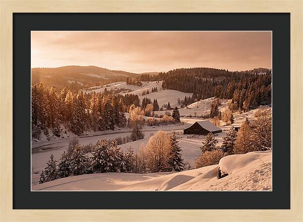 Winter Wonderland Blanketed In Snow