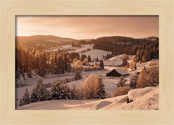 Winter Wonderland Blanketed In Snow