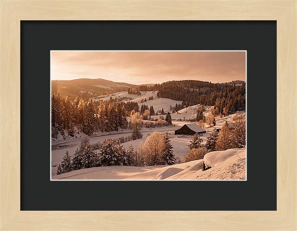 Winter Wonderland Blanketed In Snow