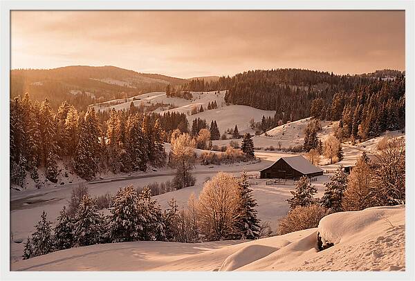 Winter Wonderland Blanketed In Snow