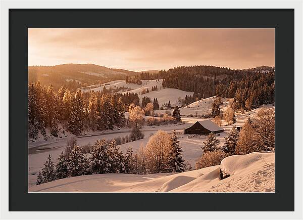 Winter Wonderland Blanketed In Snow