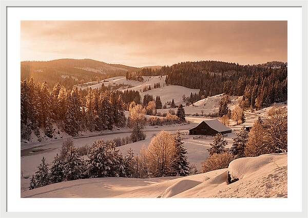 Winter Wonderland Blanketed In Snow