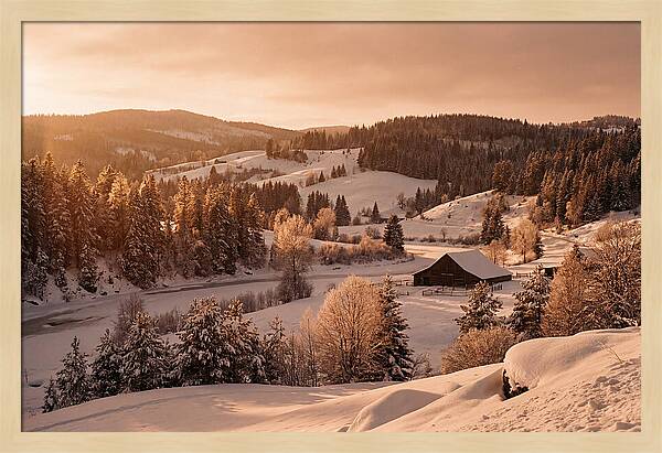 Winter Wonderland Blanketed In Snow