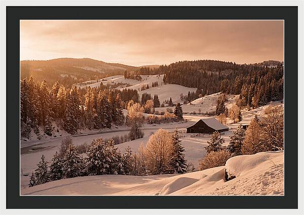 Winter Wonderland Blanketed In Snow