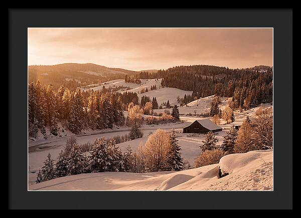 Winter Wonderland Blanketed In Snow