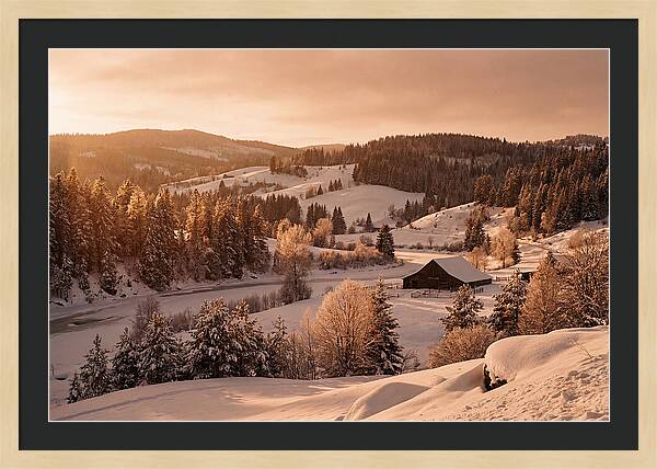 Winter Wonderland Blanketed In Snow
