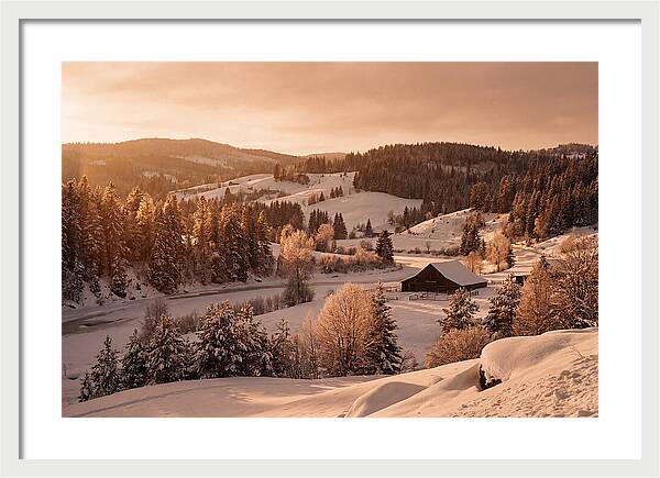 Winter Wonderland Blanketed In Snow