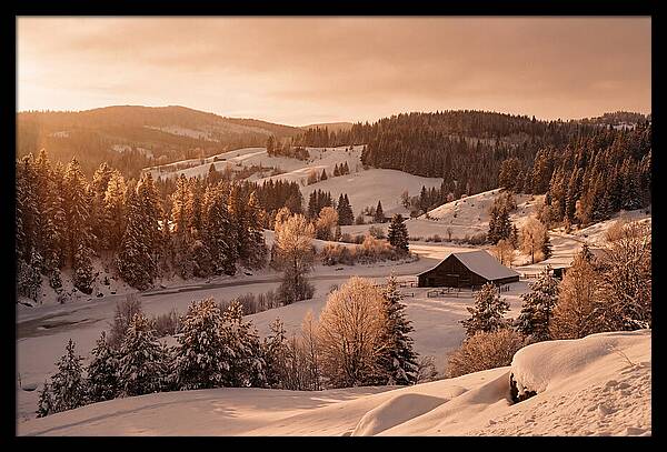 Winter Wonderland Blanketed In Snow
