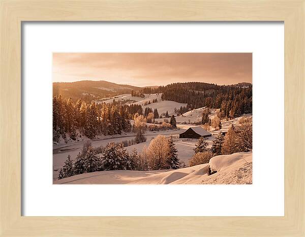 Winter Wonderland Blanketed In Snow