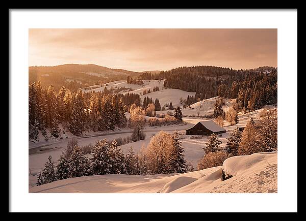 Winter Wonderland Blanketed In Snow