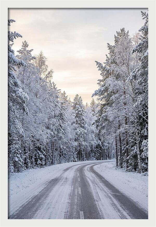 Winter Wonderland Road