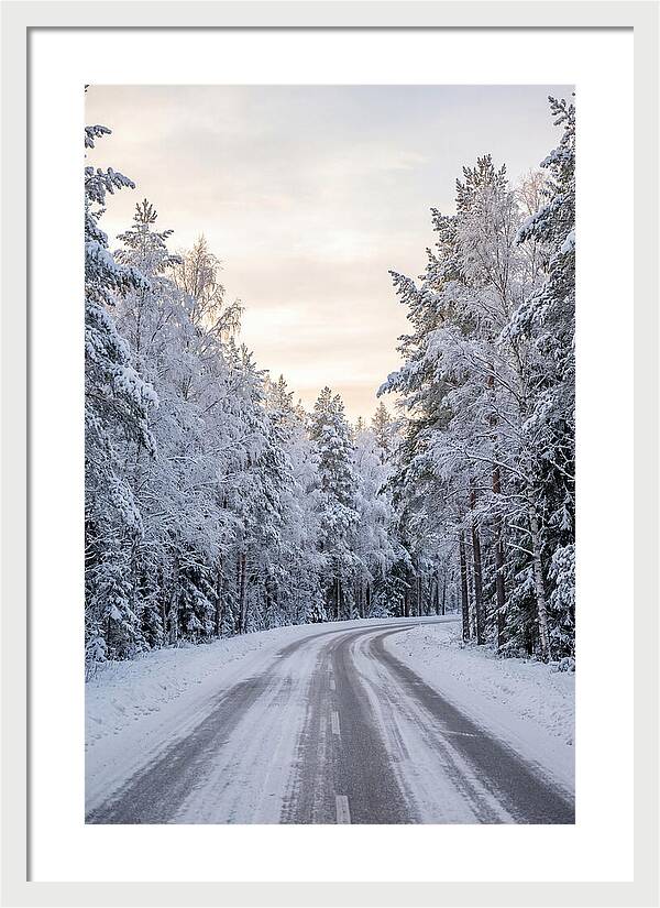 Winter Wonderland Road