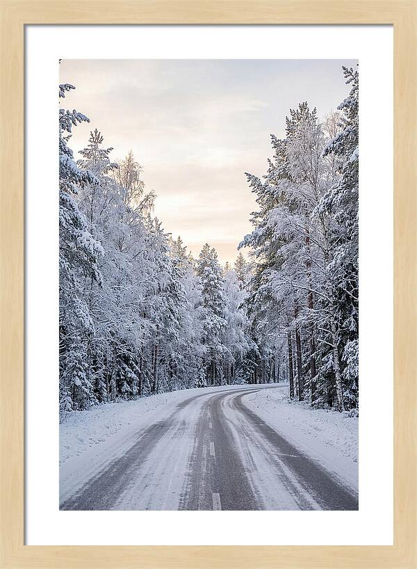 Winter Wonderland Road