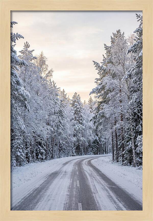 Winter Wonderland Road