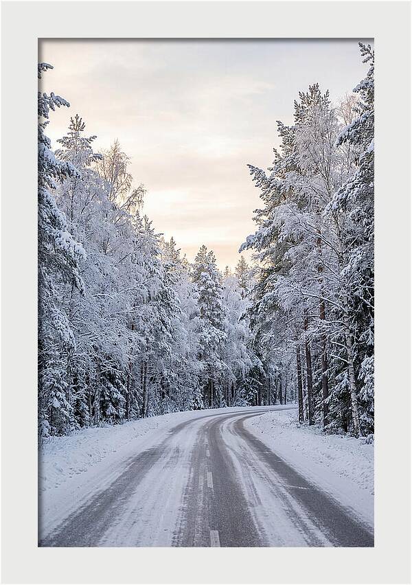 Winter Wonderland Road