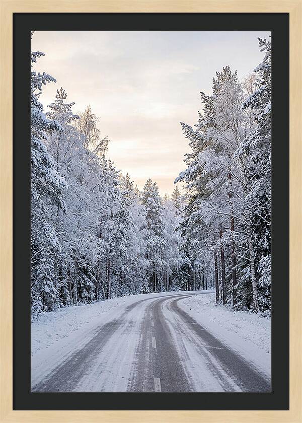 Winter Wonderland Road