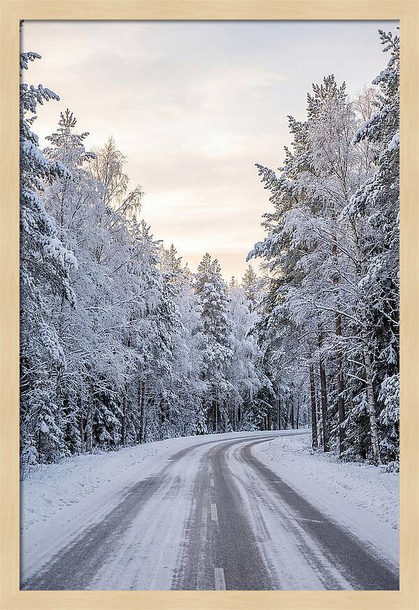 Winter Wonderland Road