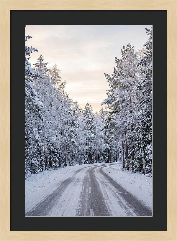 Winter Wonderland Road