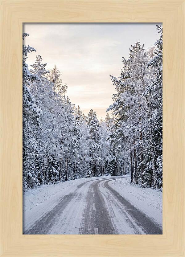 Winter Wonderland Road