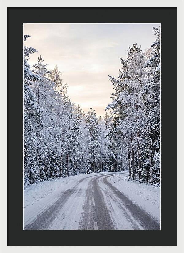 Winter Wonderland Road