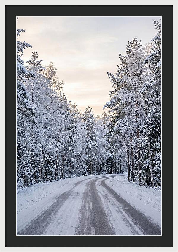 Winter Wonderland Road