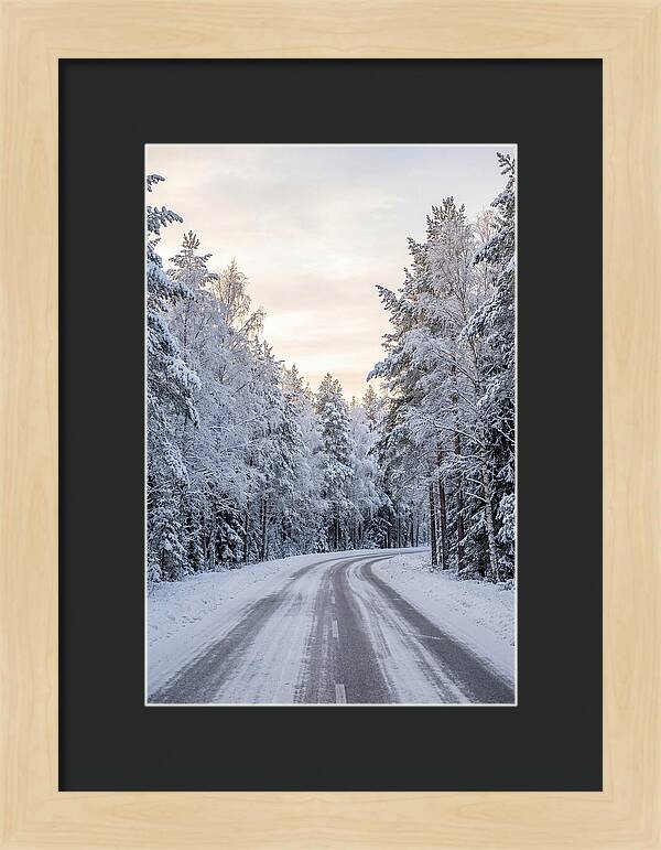 Winter Wonderland Road