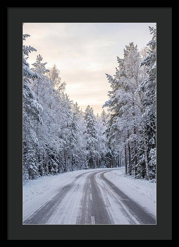 Winter Wonderland Road