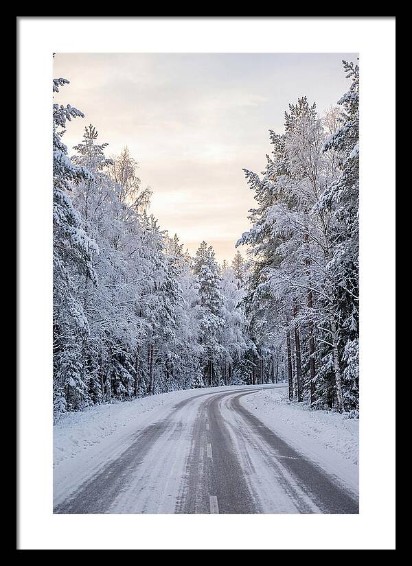 Winter Wonderland Road