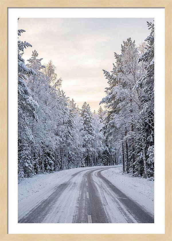 Winter Wonderland Road