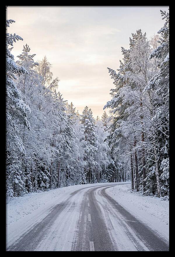 Winter Wonderland Road