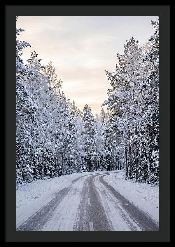 Winter Wonderland Road