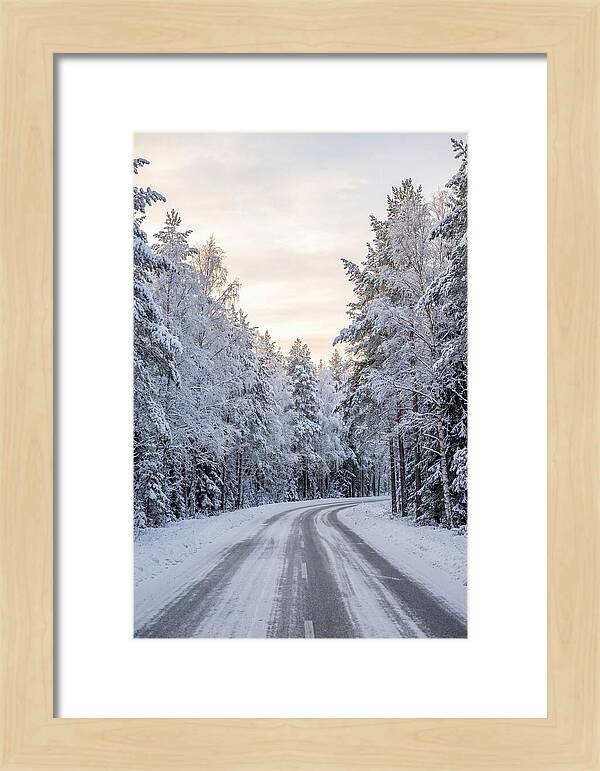 Winter Wonderland Road