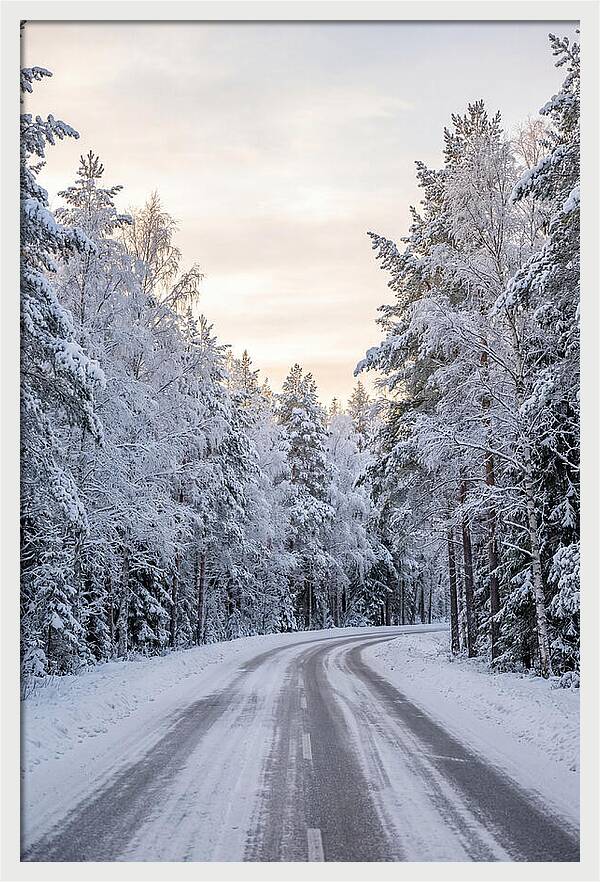 Winter Wonderland Road