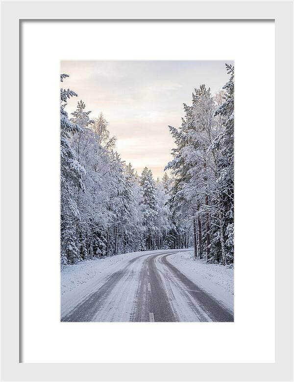 Winter Wonderland Road
