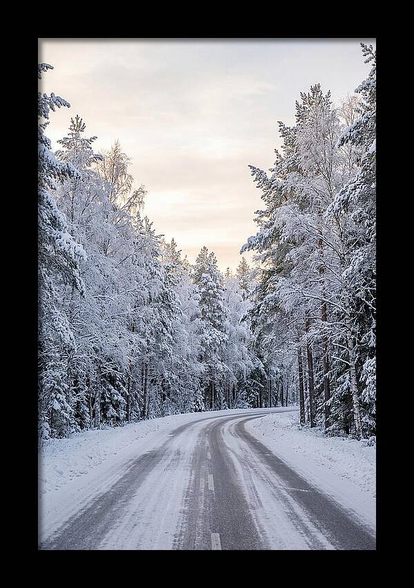 Winter Wonderland Road