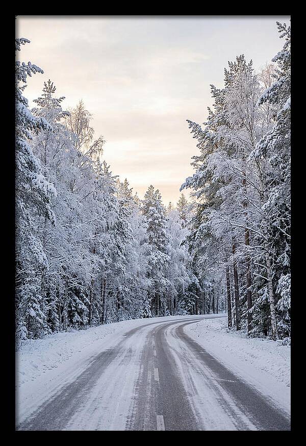 Winter Wonderland Road