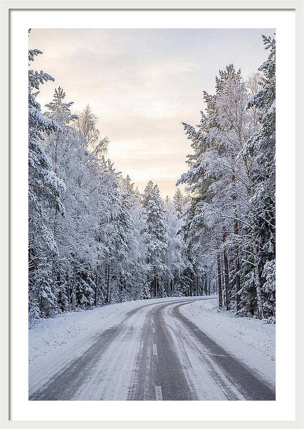Winter Wonderland Road