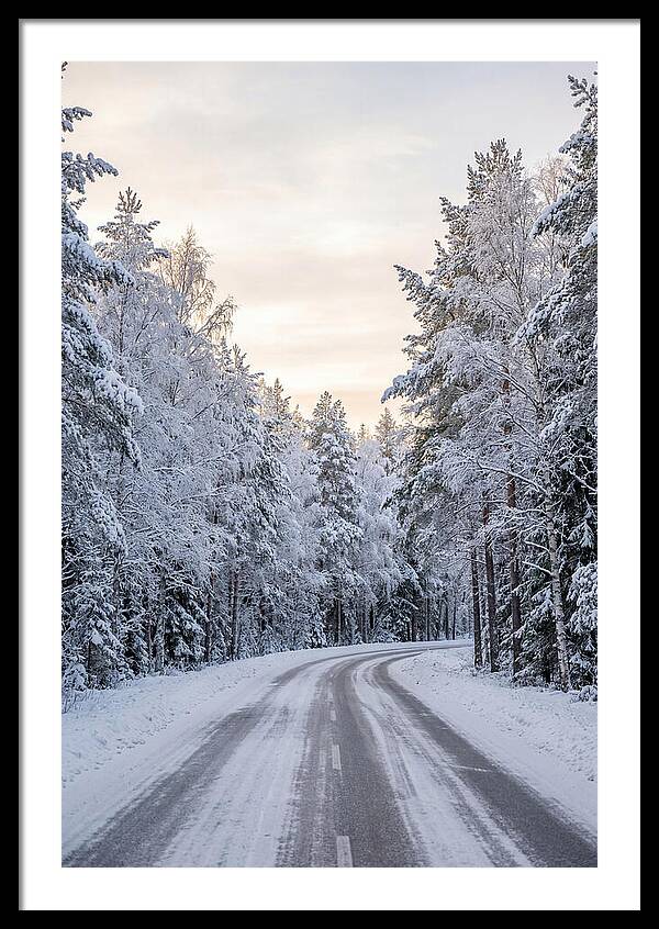 Winter Wonderland Road