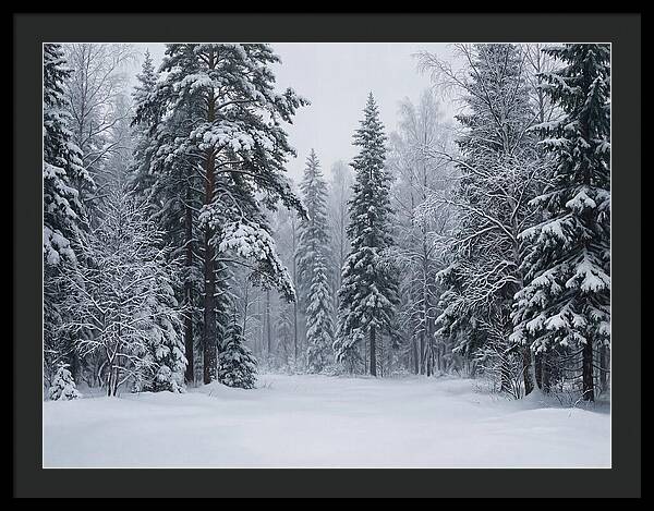 Winter Wonderland Serenity