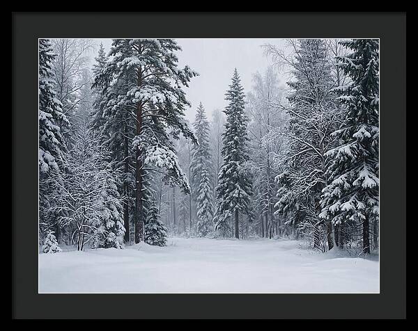 Winter Wonderland Serenity