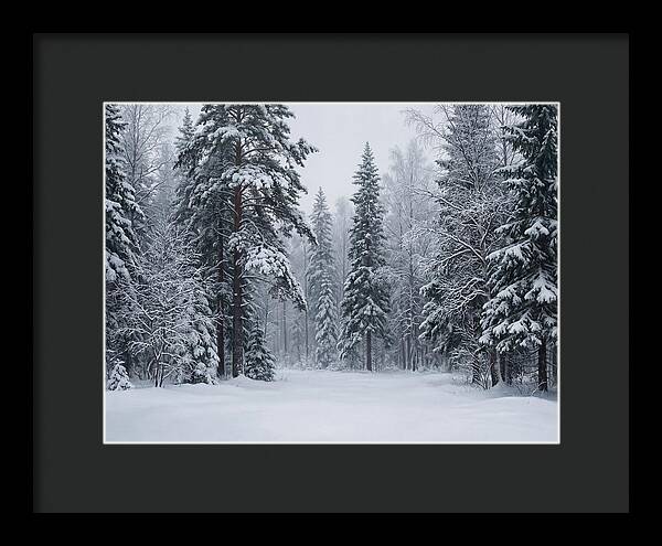 Winter Wonderland Serenity