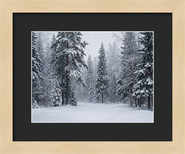 Winter Wonderland Serenity