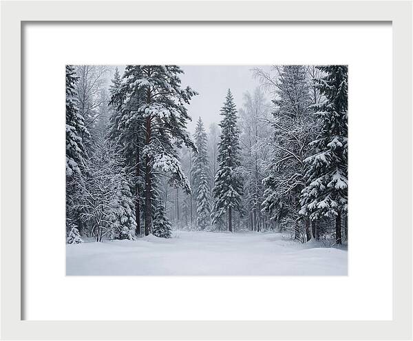 Winter Wonderland Serenity